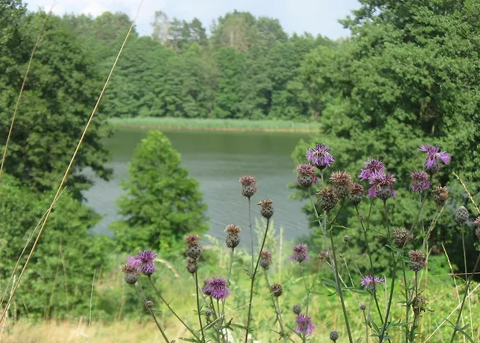 Дом отдыха Mleczarnia Z Prywatnym Jacuzzi *