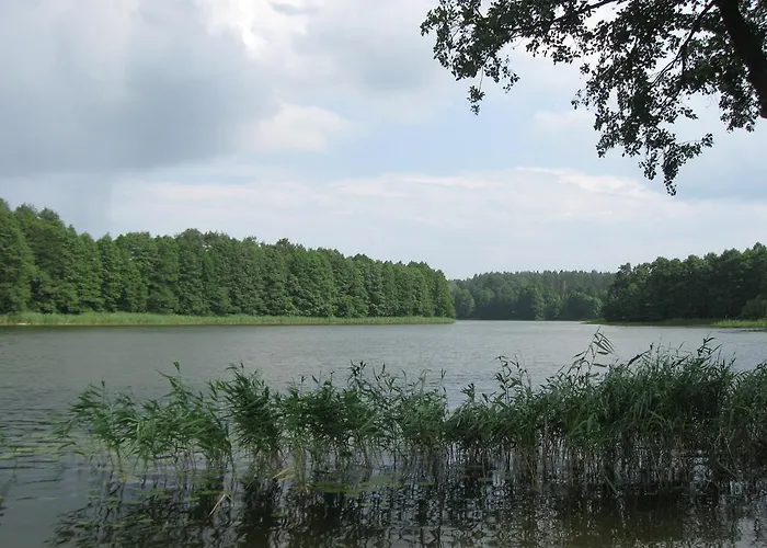 Дом отдыха Mleczarnia Z Prywatnym Jacuzzi